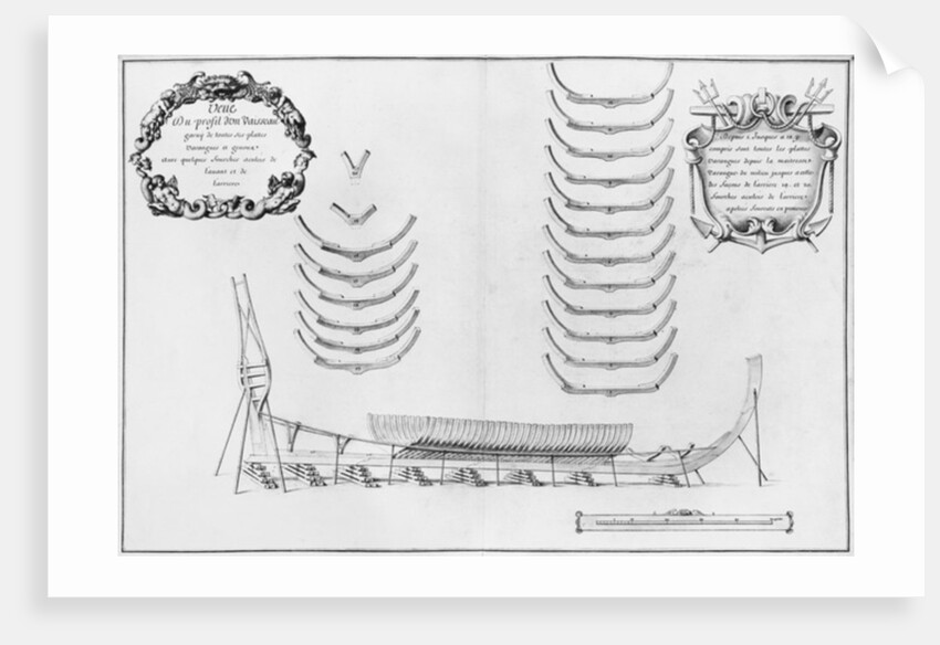 rofile of a vessel with all its floor plates by French School