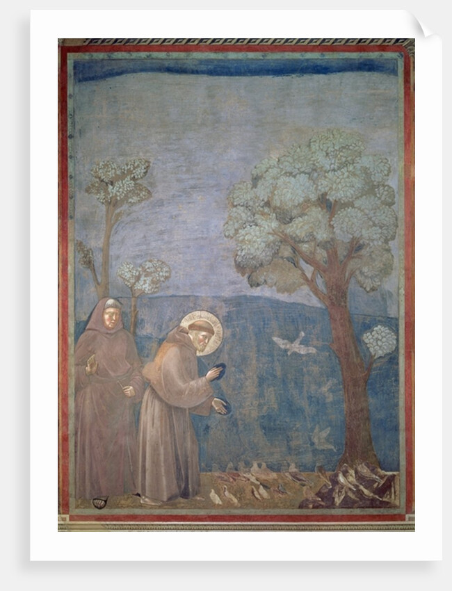 St. Francis preaching to the birds, 1297-99 by Giotto