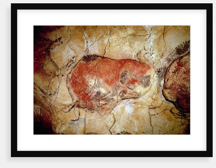 Bison from the Altamira Caves, Upper Paleolithic, c.15000-8000 BC by Prehistoric Prehistoric