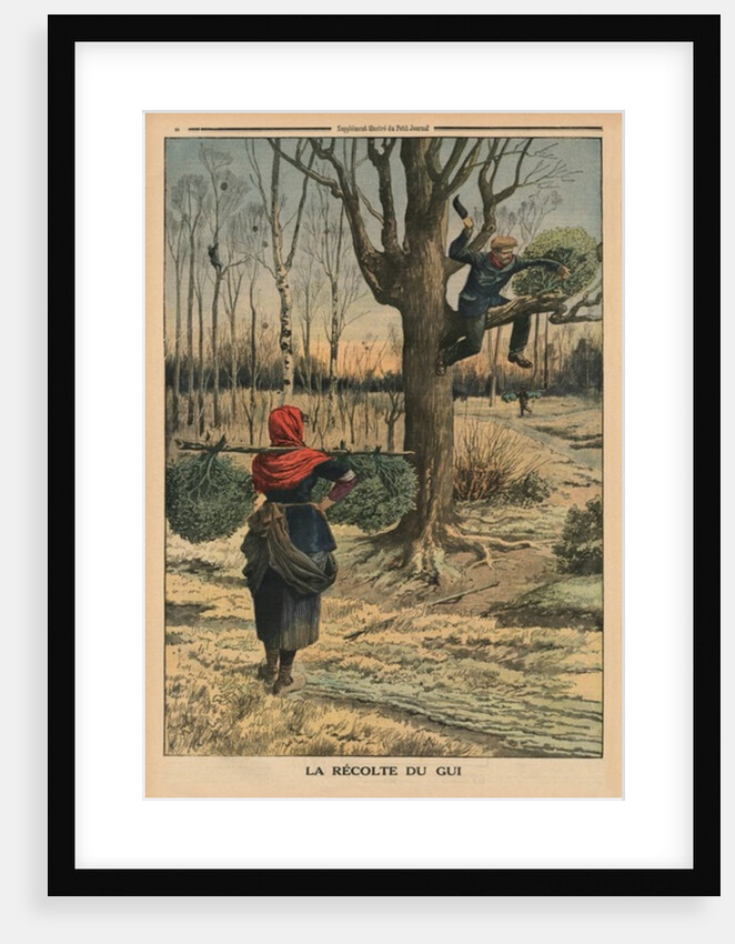 Cutting the mistletoe by French School