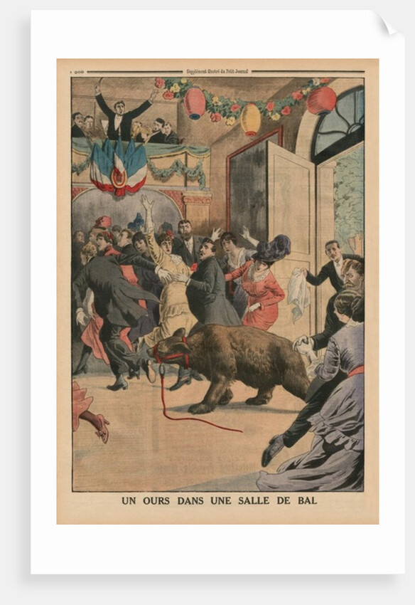 A Bear in a ballroom by French School