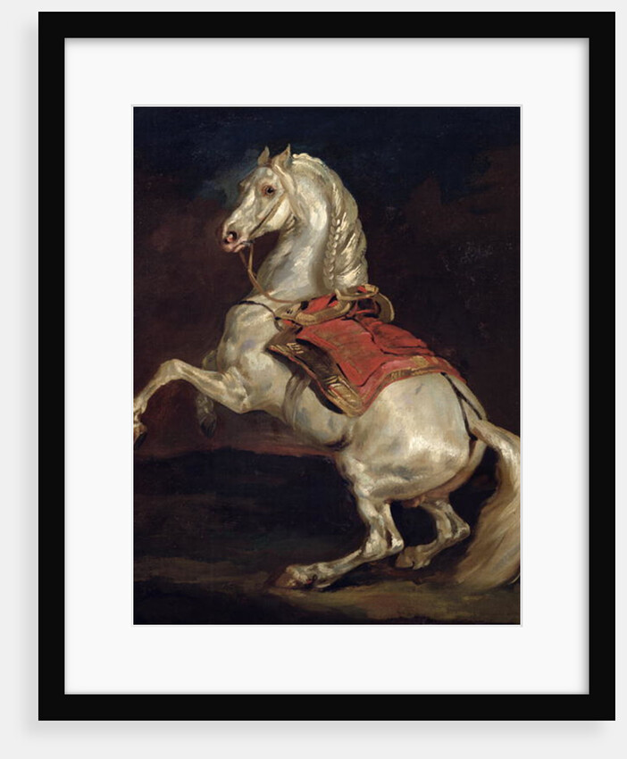 Napoleon's Stallion, Tamerlan by Theodore Gericault
