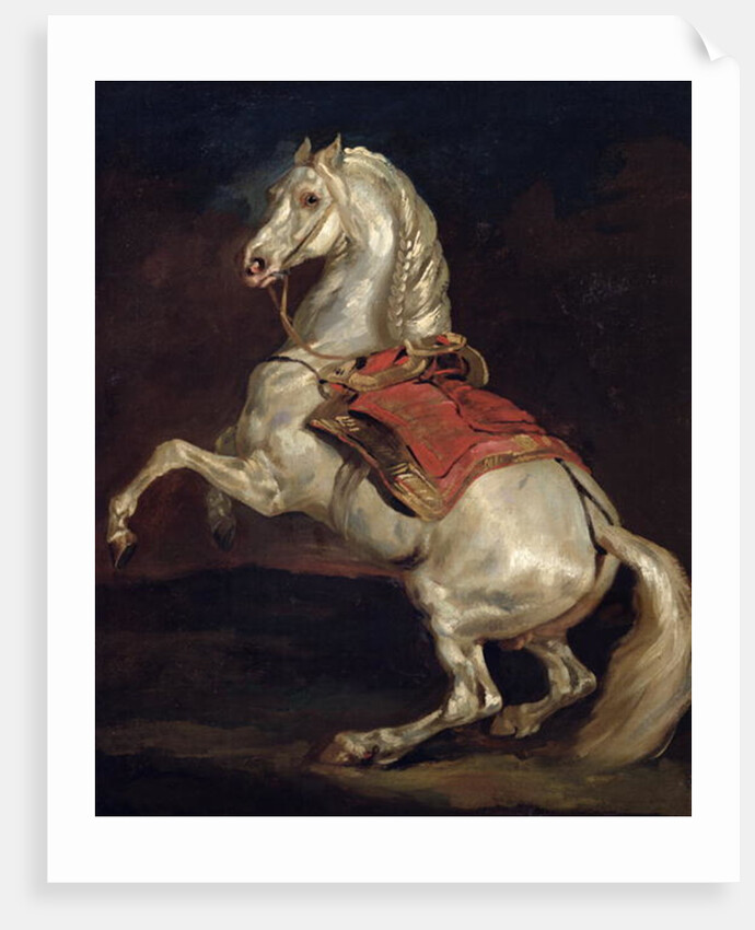 Napoleon's Stallion, Tamerlan by Theodore Gericault