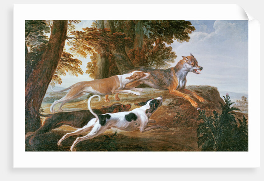 The Wolf Hunt, c.1720 by Alexandre-Francois Desportes