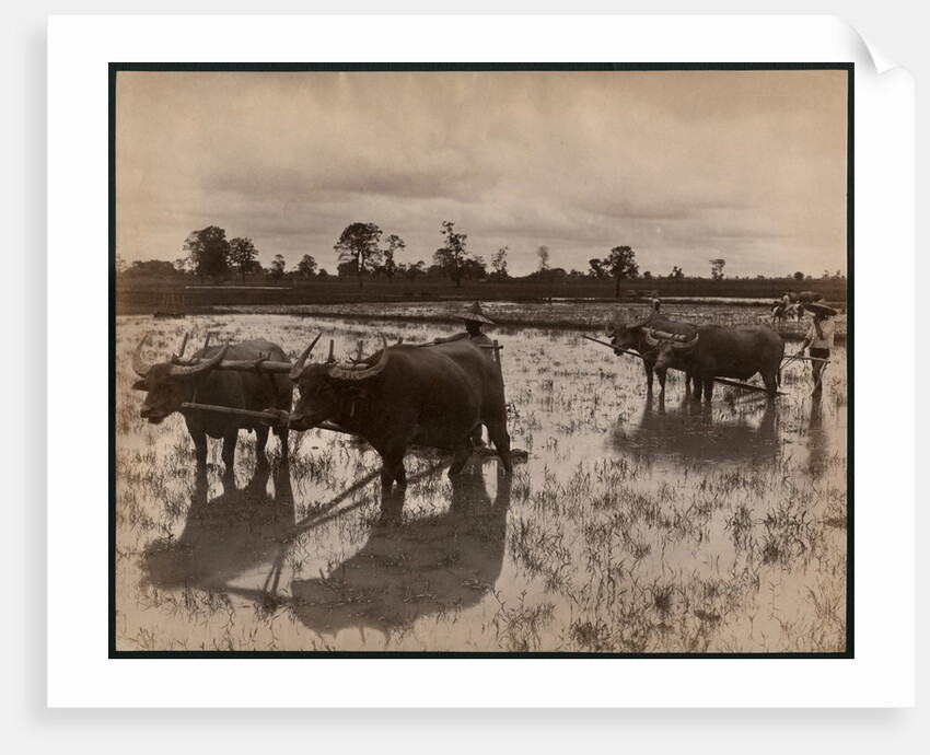 Farm work, c.1880 by Philip Adolphe Klier