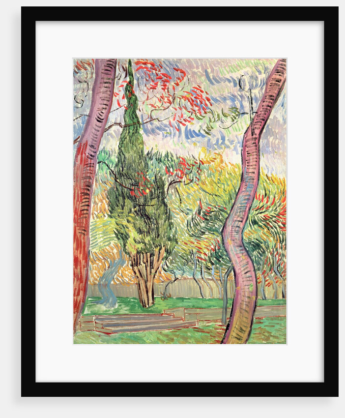 The Garden of St. Paul's Hospital, St. Remy, October 1889 by Vincent van Gogh