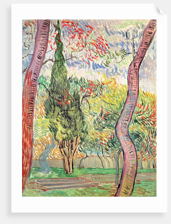 The Garden of St. Paul's Hospital, St. Remy, October 1889 by Vincent van Gogh