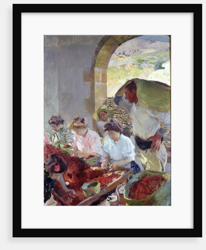 Preparing the Dry Grapes, 1890 by Joaquin Sorolla y Bastida