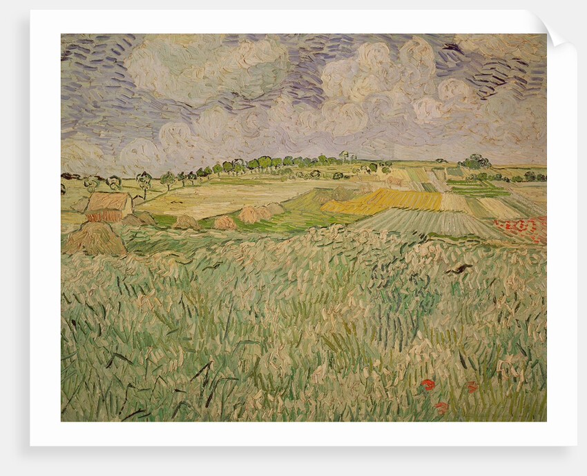 The Plain at Auvers, 1890 by Vincent van Gogh