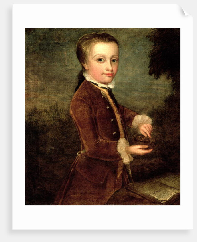 Portrait of Wolfgang Amadeus Mozart aged eight, holding a bird's nest, 1764-65 by Johann Zoffany
