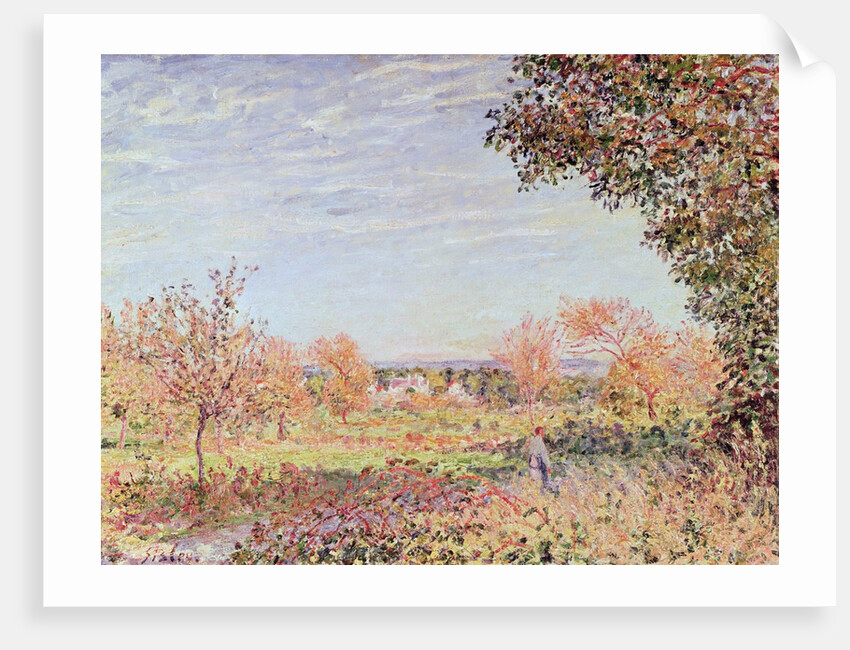 September Morning, c.1887 by Alfred Sisley