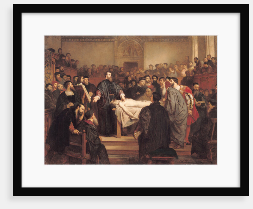 Andreas Vesalius at Padua, 18th century by Edouard Jean Conrad Hamman