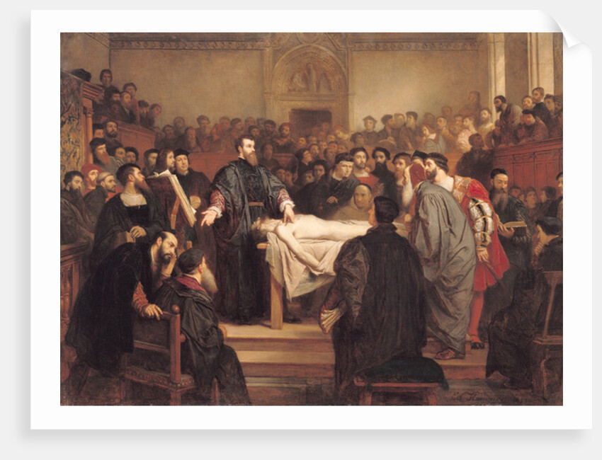 Andreas Vesalius at Padua, 18th century by Edouard Jean Conrad Hamman