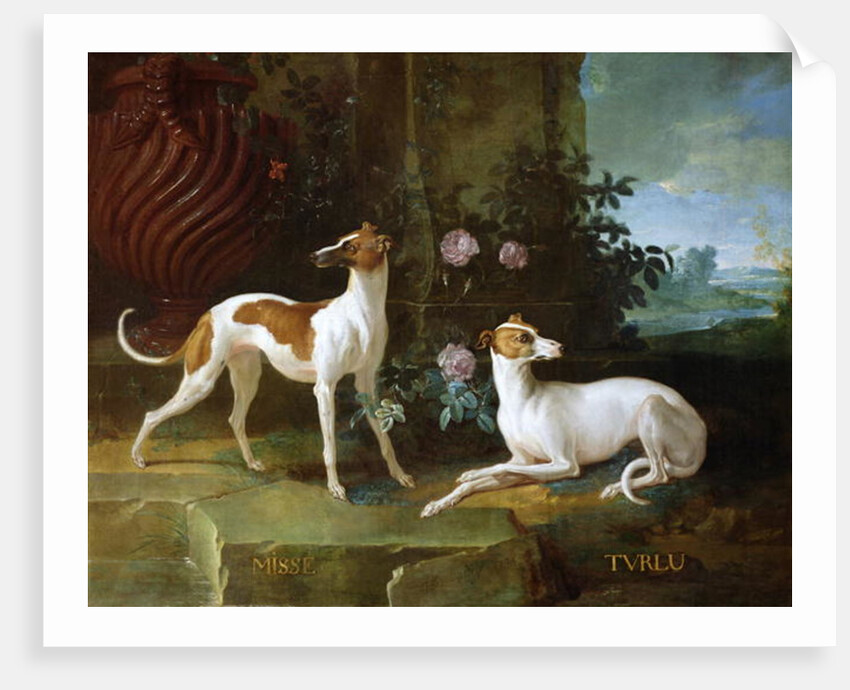 Misse and Turlu, two greyhounds of Louis XV by Jean-Baptiste Oudry