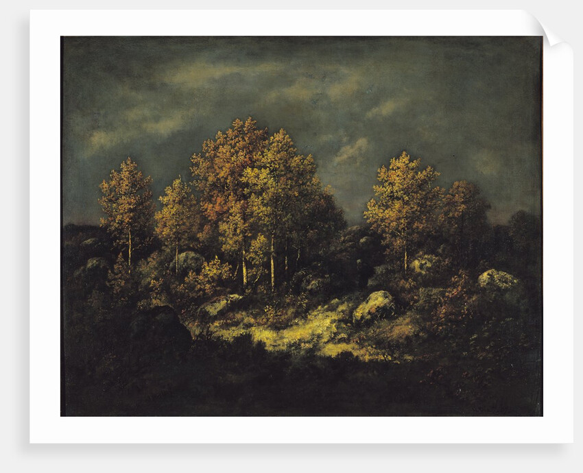 The Jean de Paris Heights in the Forest of Fontainebleau, 1867 by Narcisse Virgile Diaz de la Pena