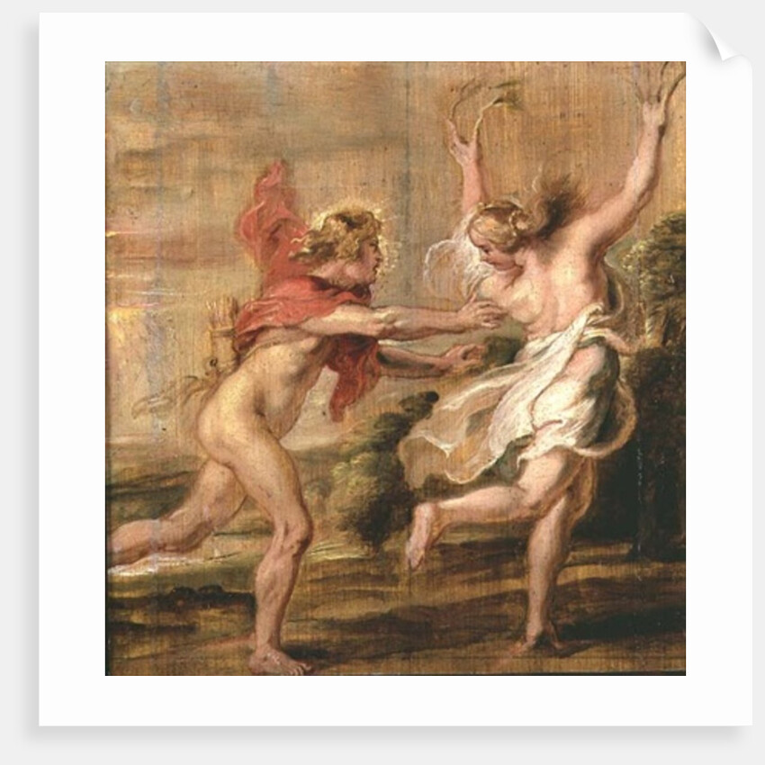 Apollo and Daphne, c.1636 by Peter Paul Rubens