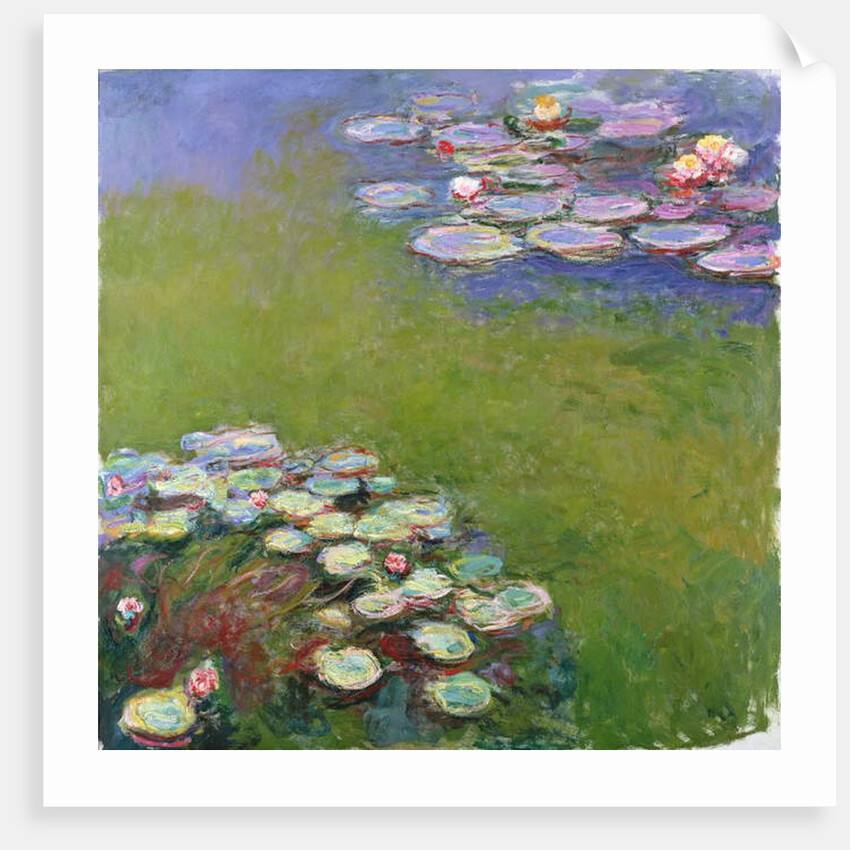 Waterlilies, 1914-17 by Claude Monet