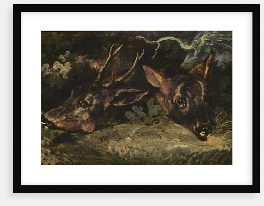 Heads of Roe Deer, 1815 by Theodore Gericault
