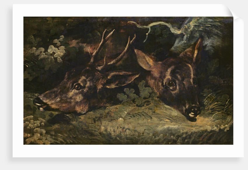 Heads of Roe Deer, 1815 by Theodore Gericault