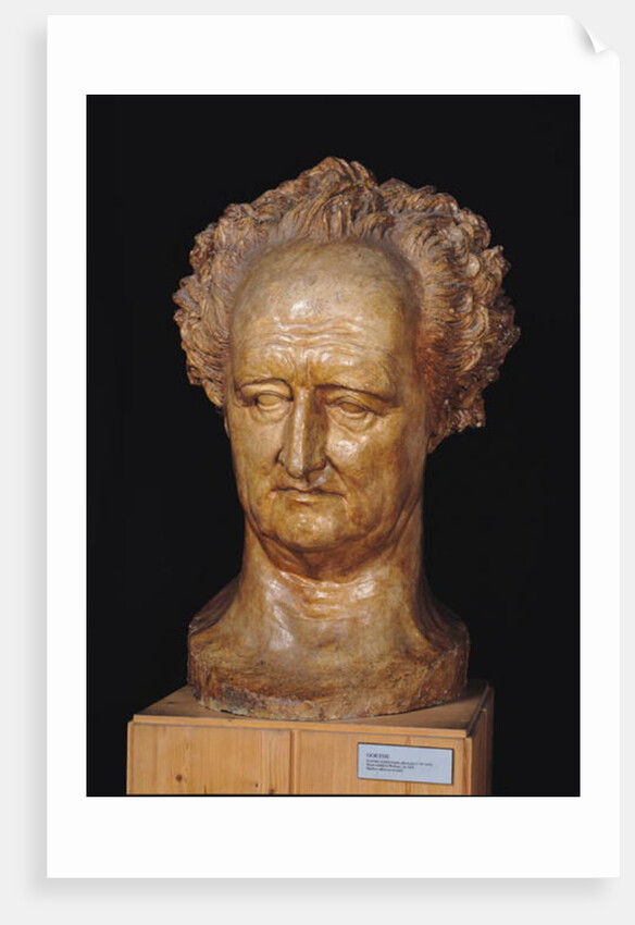 Bust of Johann Wolfgang von Goethe, 1831 by Pierre Jean David d'Angers