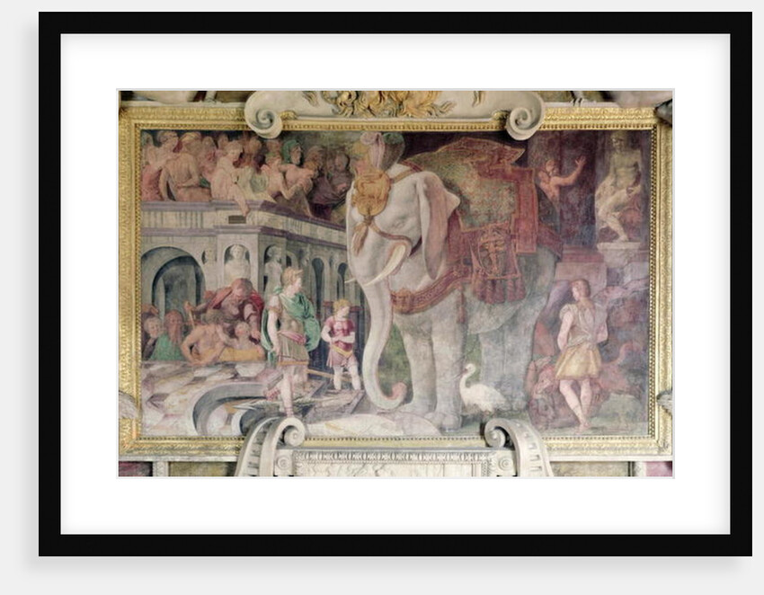 The Royal Elephant by Giovanni Battista Rosso Fiorentino