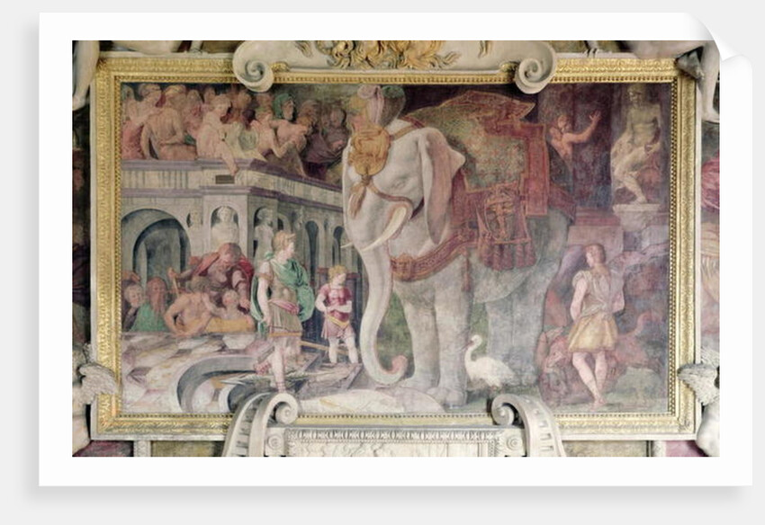 The Royal Elephant by Giovanni Battista Rosso Fiorentino