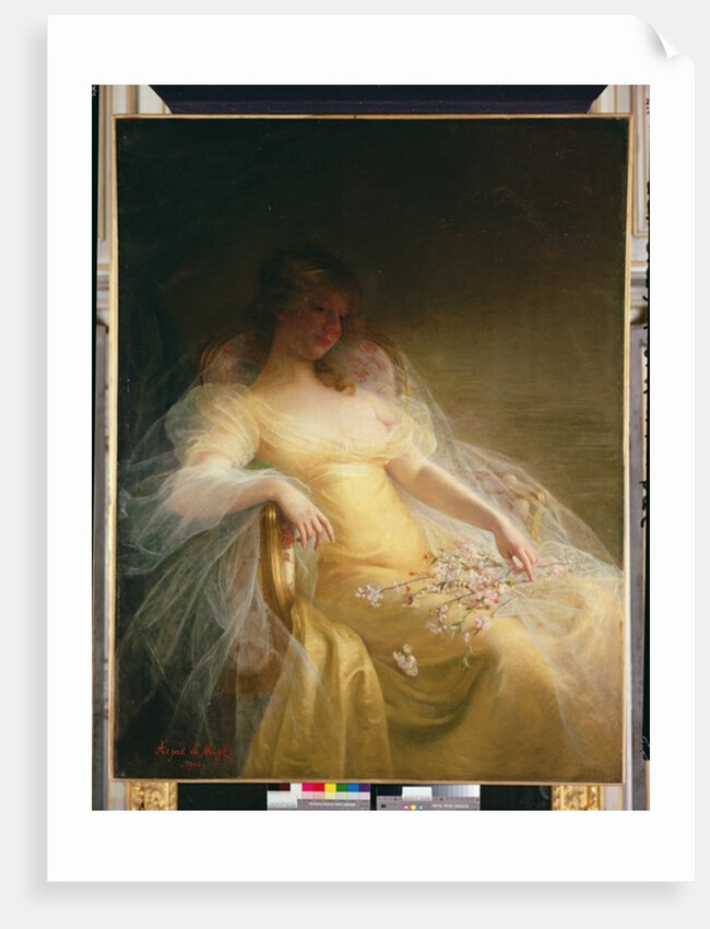 Portrait of a Woman by Arpad Migl