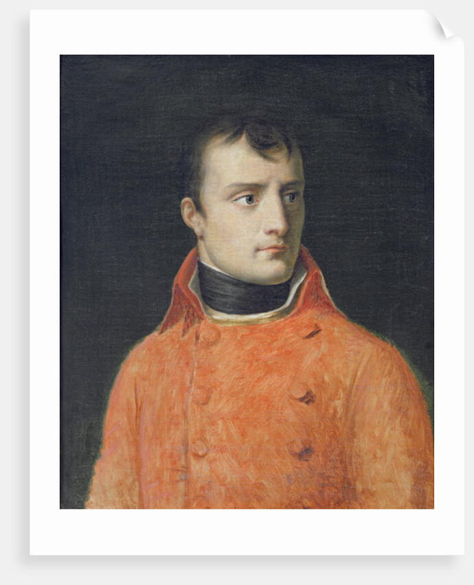 Napoléon Bonaparte, First Consul by Anne Louis Girodet de Roucy-Trioson