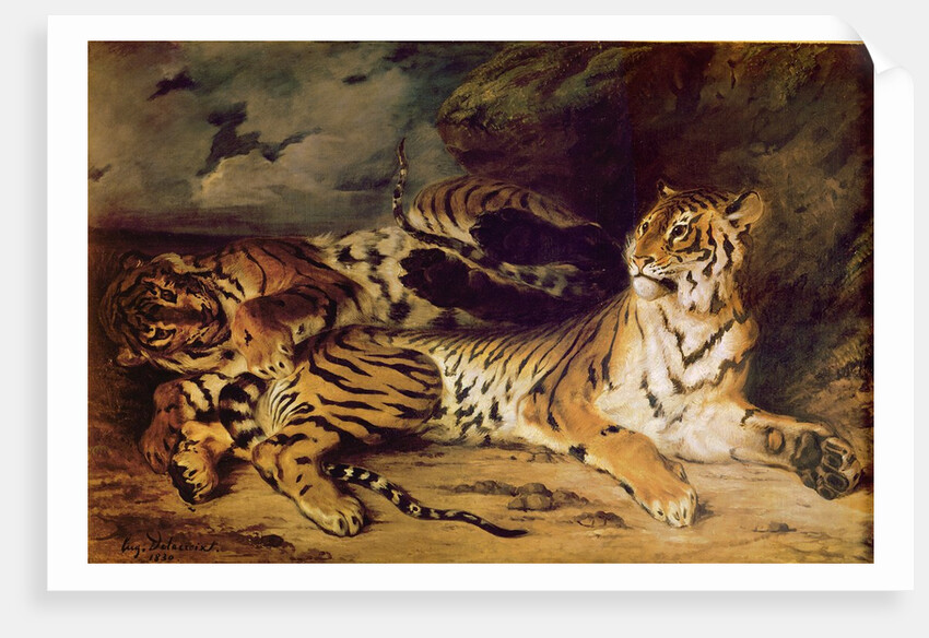 Young tiger playing with his mother, 1830 by Ferdinand Victor Eugene Delacroix