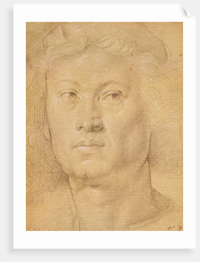 Head of an Angel by Sandro Botticelli