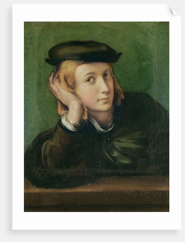 Portrait of a Young Man, c.1528-30 by Parmigianino (1503-40)