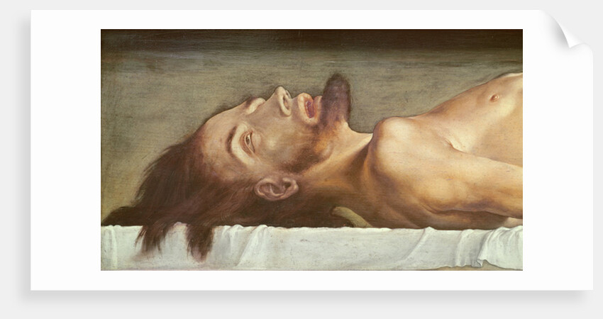 The Body of the Dead Christ, detail of the head, 1521 by Hans Holbein the Younger