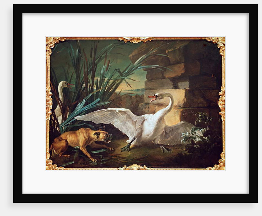 Dog and Swans by Jean-Baptiste Oudry