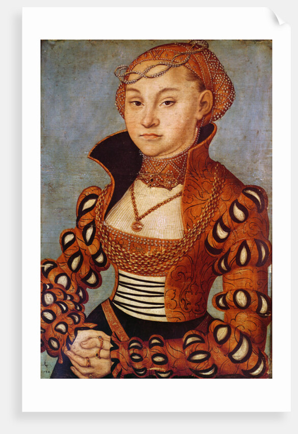 Portrait of a Noble Saxon Woman, 1534 by Lucas the Elder Cranach