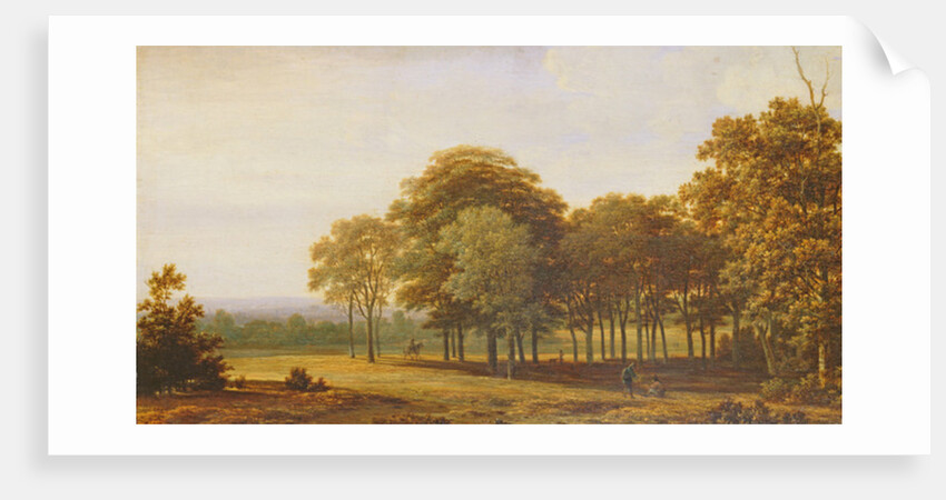 Road in the Woods by Joris van der Haagen or Hagen