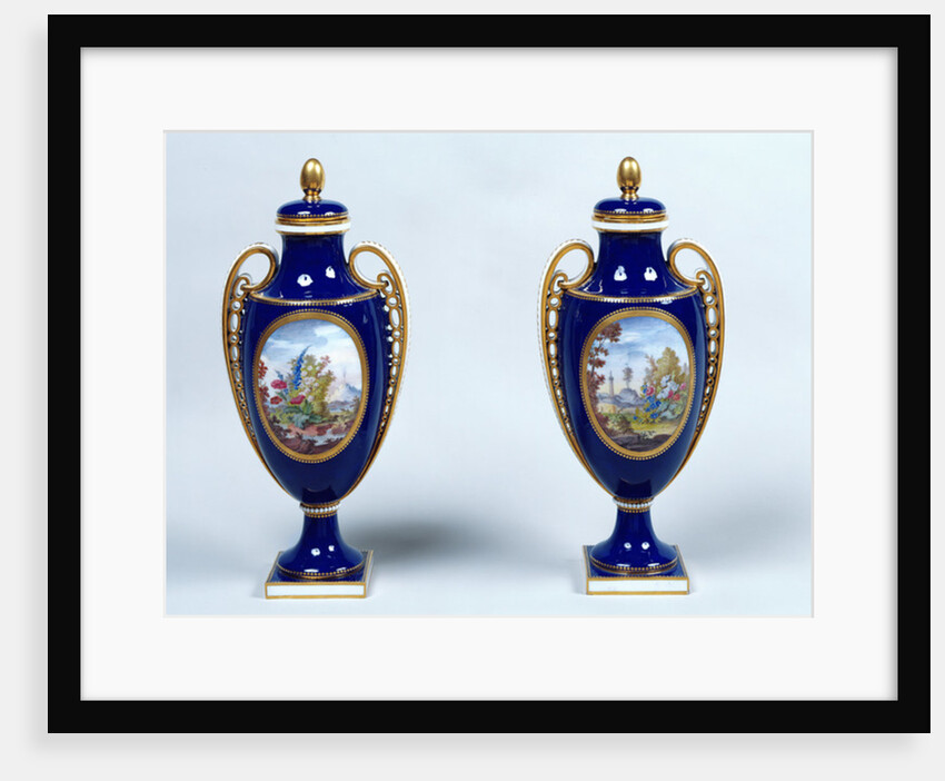 A Pair of Sèvres Vases with decorative floral medallions by French School