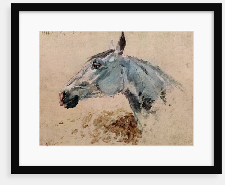 White Horse 'Gazelle', 1881 by Henri de Toulouse-Lautrec
