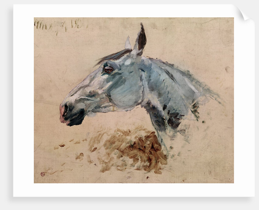 White Horse 'Gazelle', 1881 by Henri de Toulouse-Lautrec