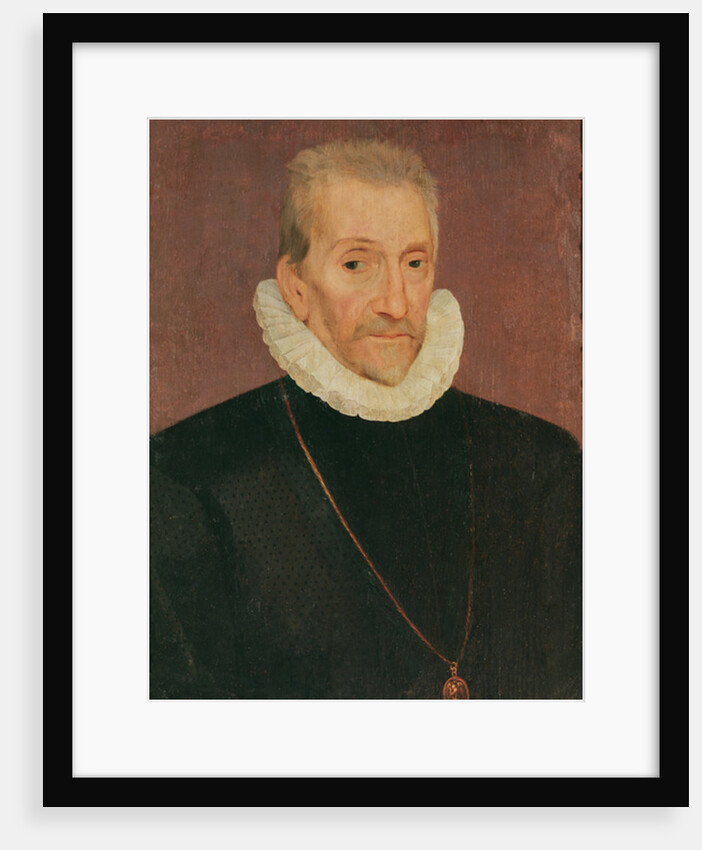 Portrait of Jacques Hurault, sire of Vibraye by French School