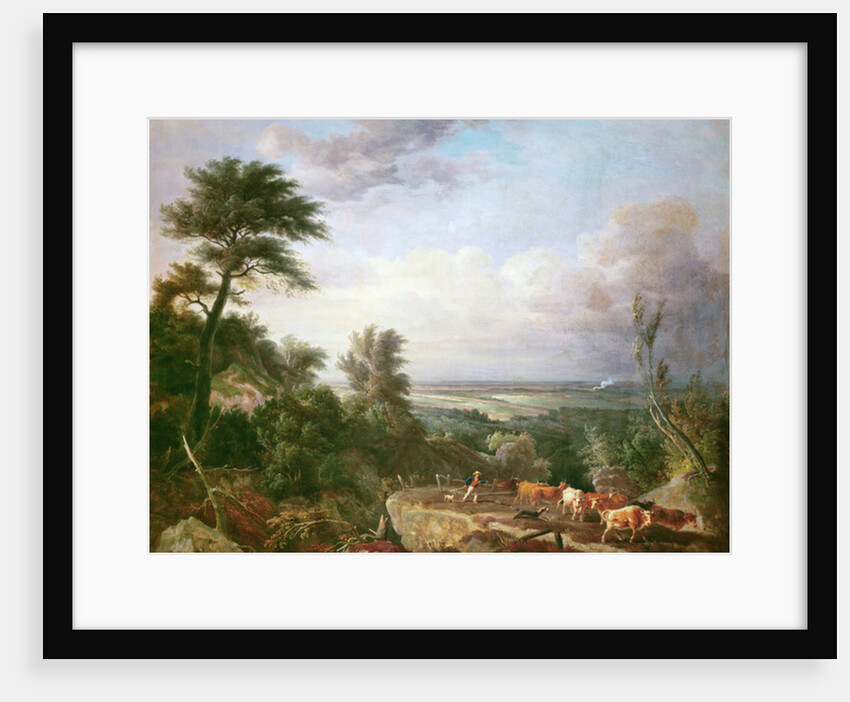 The Coming Storm by English School