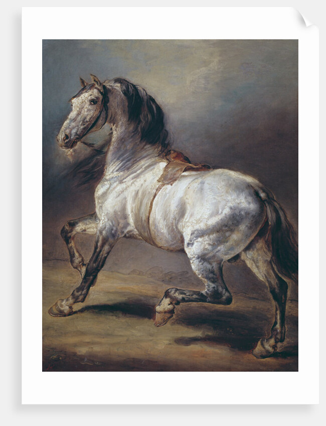 A Study of a Horse by Theodore Gericault