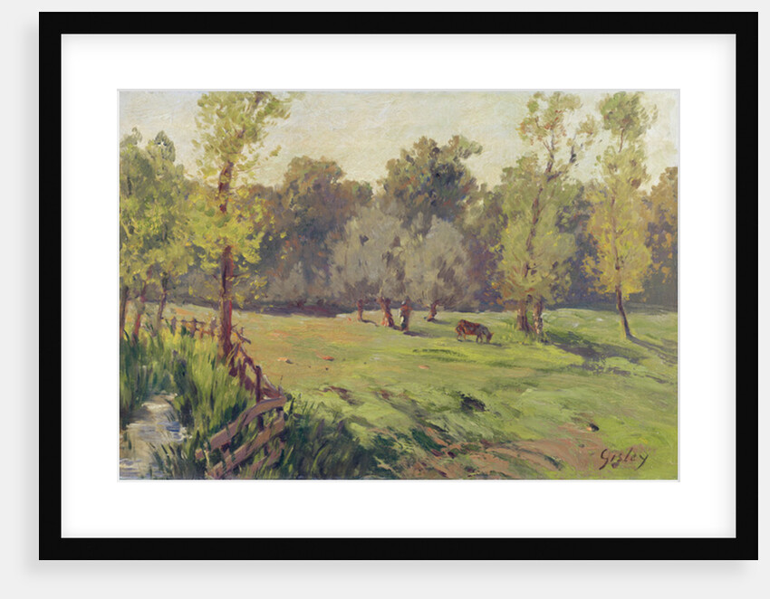 A Pasture with a Stream and an Enclosure, c.1868 by Alfred Sisley