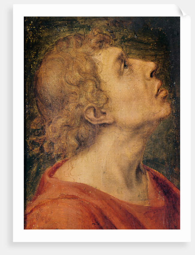 Saint John the Evangelist by Sebastiano del Piombo