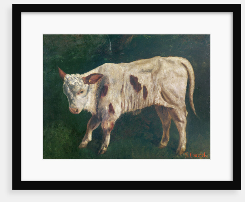 A Calf by Gustave Courbet