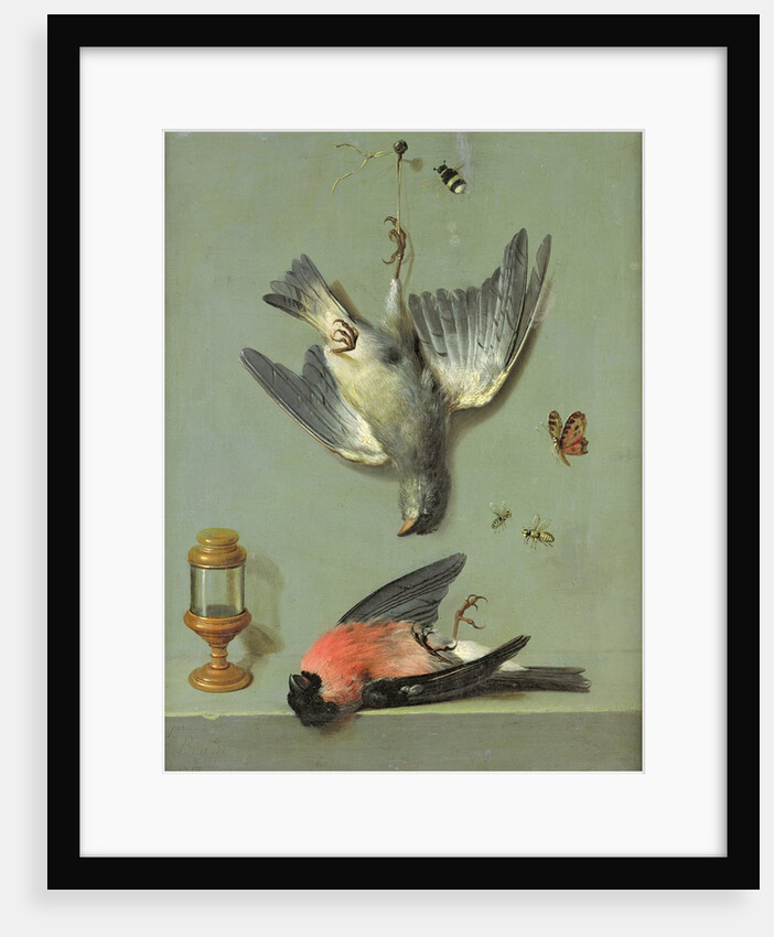 Still Life With Birds and Insects, 1713 by Jean-Baptiste Oudry