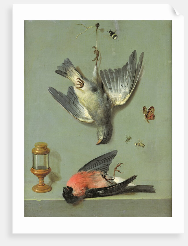 Still Life With Birds and Insects, 1713 by Jean-Baptiste Oudry