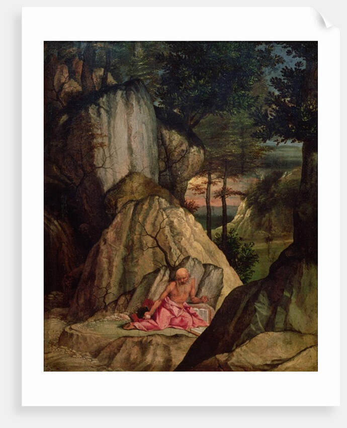 St. Jerome Meditating in the Desert, 1506 by Lorenzo Lotto