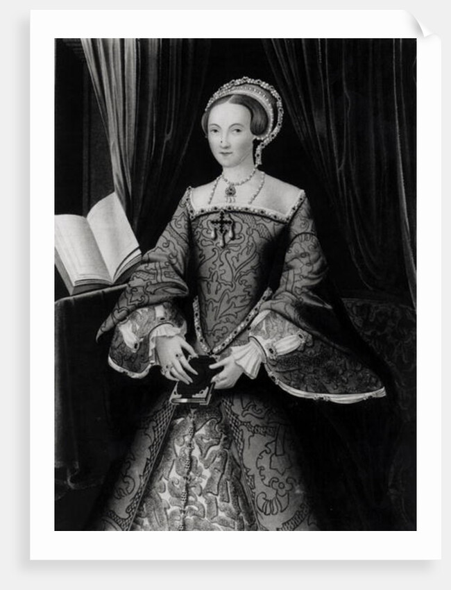 Portrait of Elizabeth I when Princess c.1546 by Flemish School