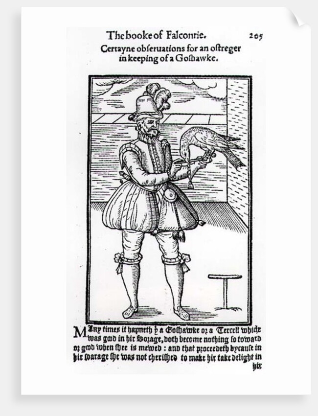 A Falconer with his Goshawk by English School