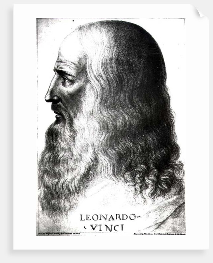 Portrait of Leonardo da Vinci by Italian School